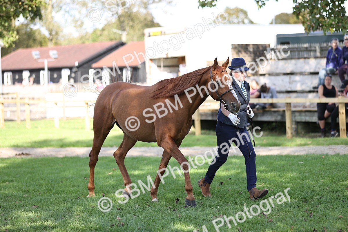 SBM_26257 - S5 - Novice & Newcomers In Hand