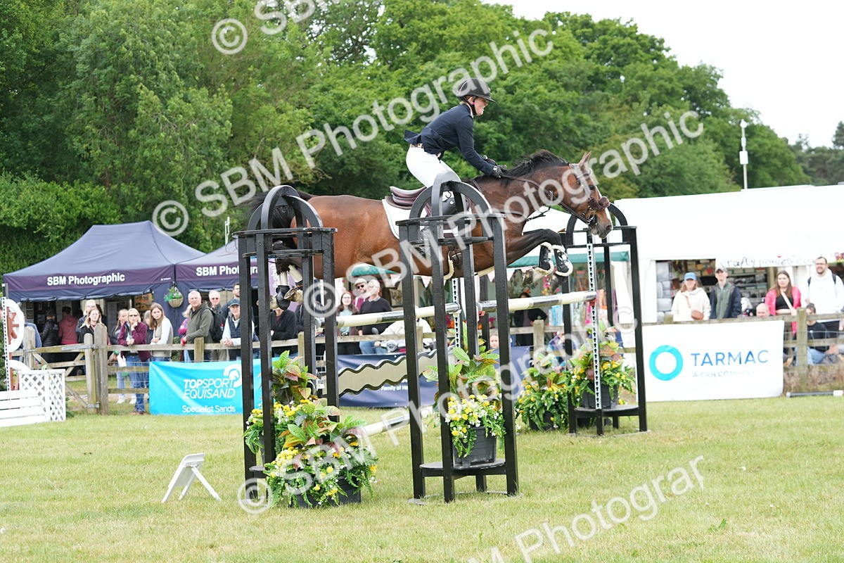 SBM_05269 - Class 201 - British Horse Feeds Speedi Beet Horse of the Year Show Grade  C