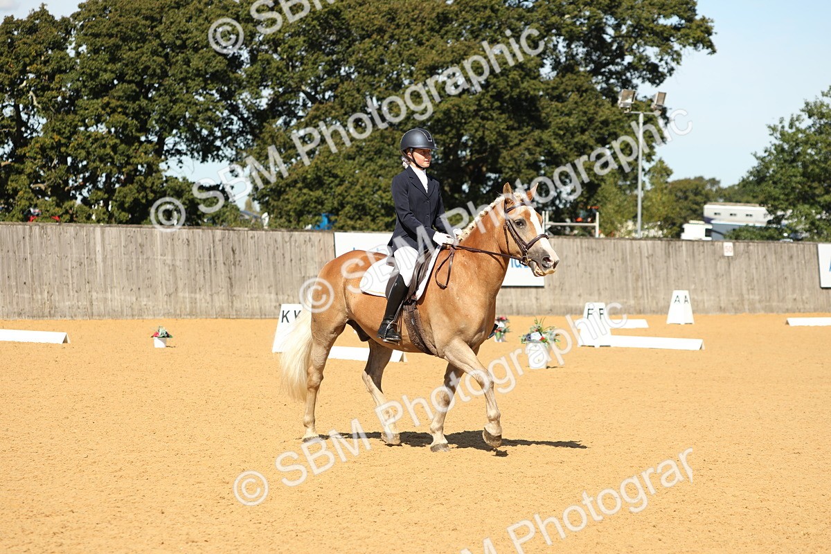SBM_19755 - D10 - Small Tour Championship - Prelim 2