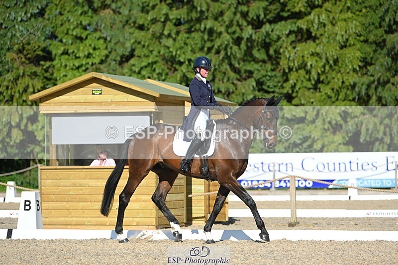 230526-172613-07605 - 263-CARWARTHEN_HARRIER-Polly_Muirhead-WEDTrotUp+DR