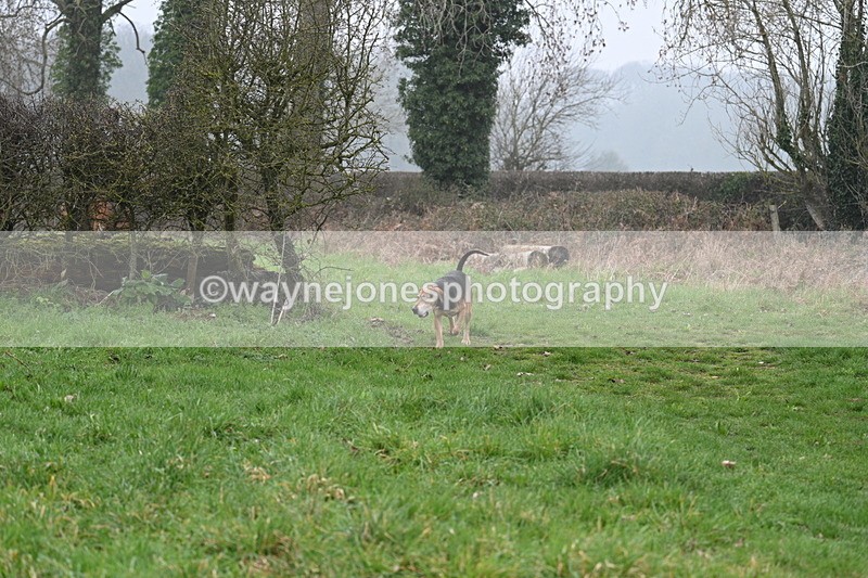 WJ7_0306 - Line 2 cam A