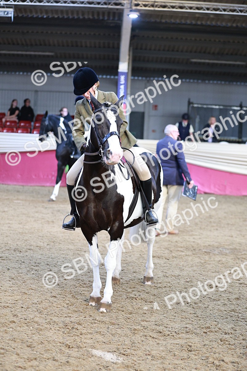 SBM_09139 - Class 12R - Regional Ridden Pre-Vet