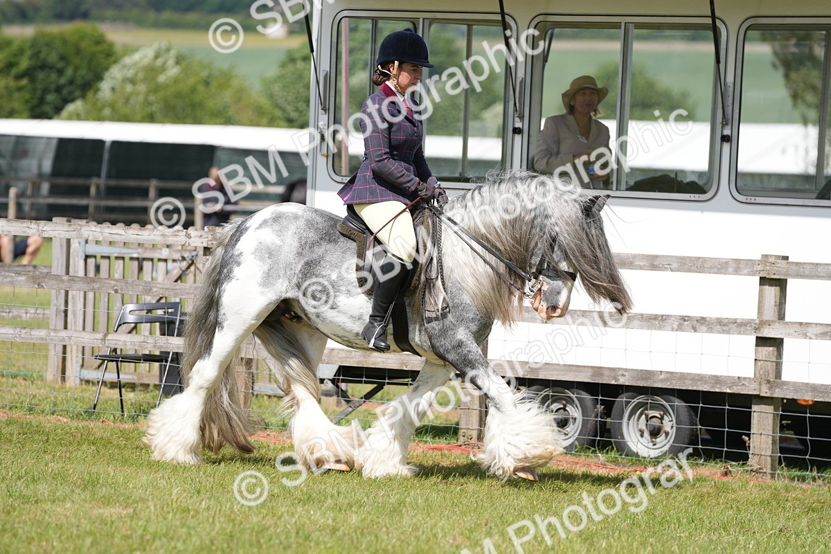 SBM_17094 - Class 107-108 - LIHS BSPS Performance Coloured Horse Pony