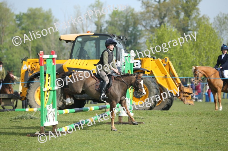 20260426-0041 - Class 13 - Rookie Jumping 50cm