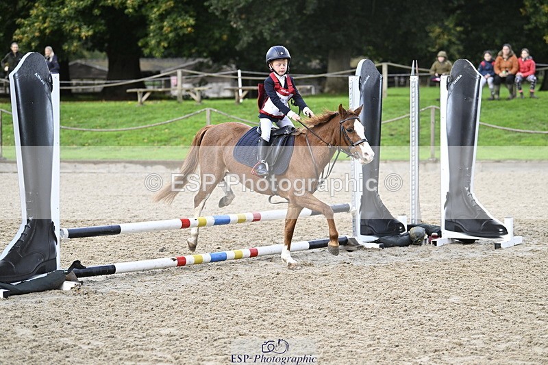 251005A-090731-02949 - Cls 02 GR 50cm