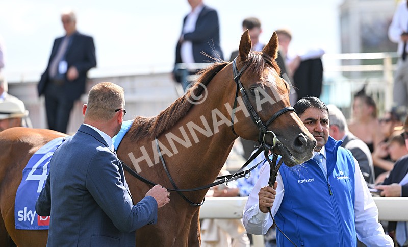 220826-046 Notable Speech - Race 3 15.00pm Sky Bet City Of York Stakes