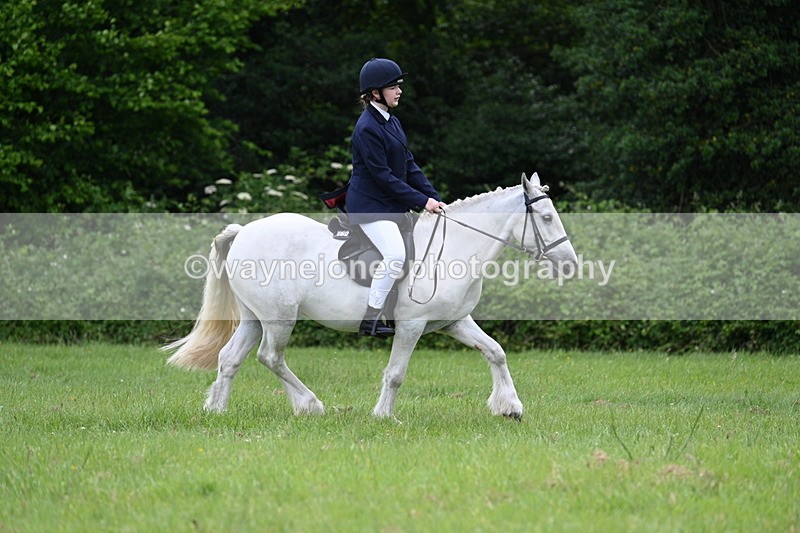 WJ7_2593 - Class 12A Coloured Class