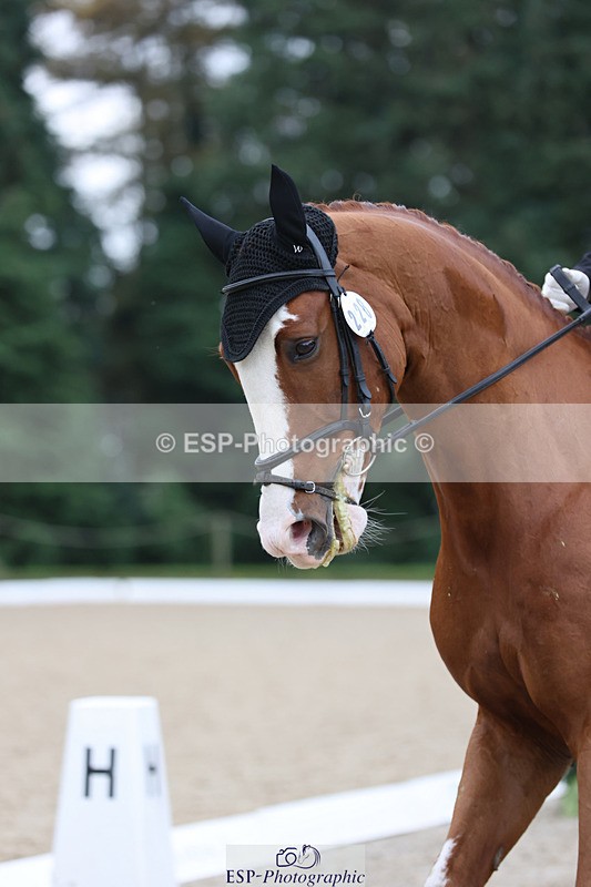 241024-143724-04107 - 228-Callum.Banfield-JIN.VAN.DE.DOELVELDEN.Z