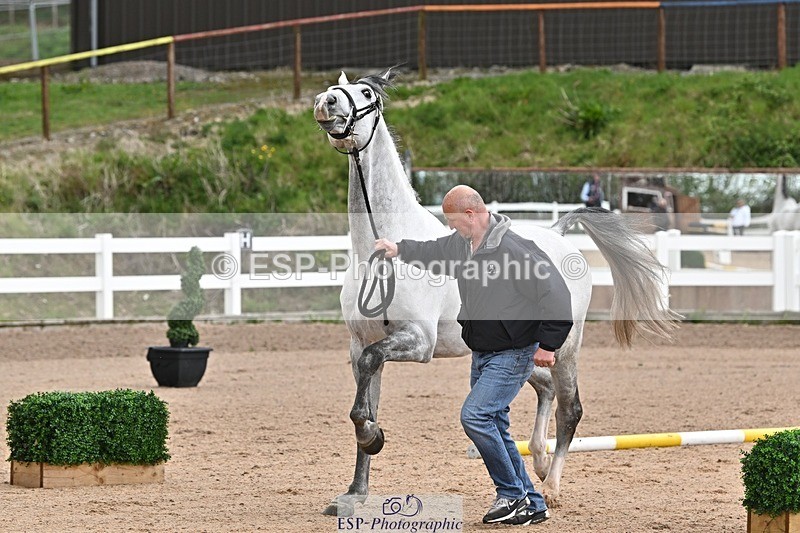 250423-112346-00040 - 11am to 12