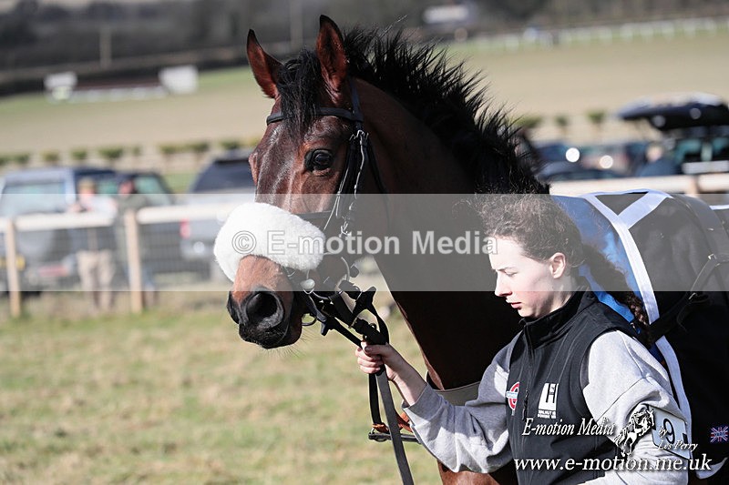 PtP 220225 14 - Kimblewick Point-to-Point  Kingston Blount 22/02/25