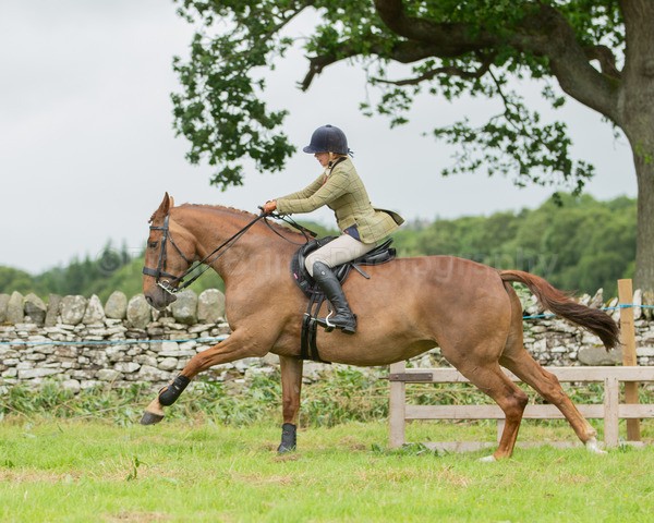 Dunblane show-670 - Dunblane and Doune Show Ring 1