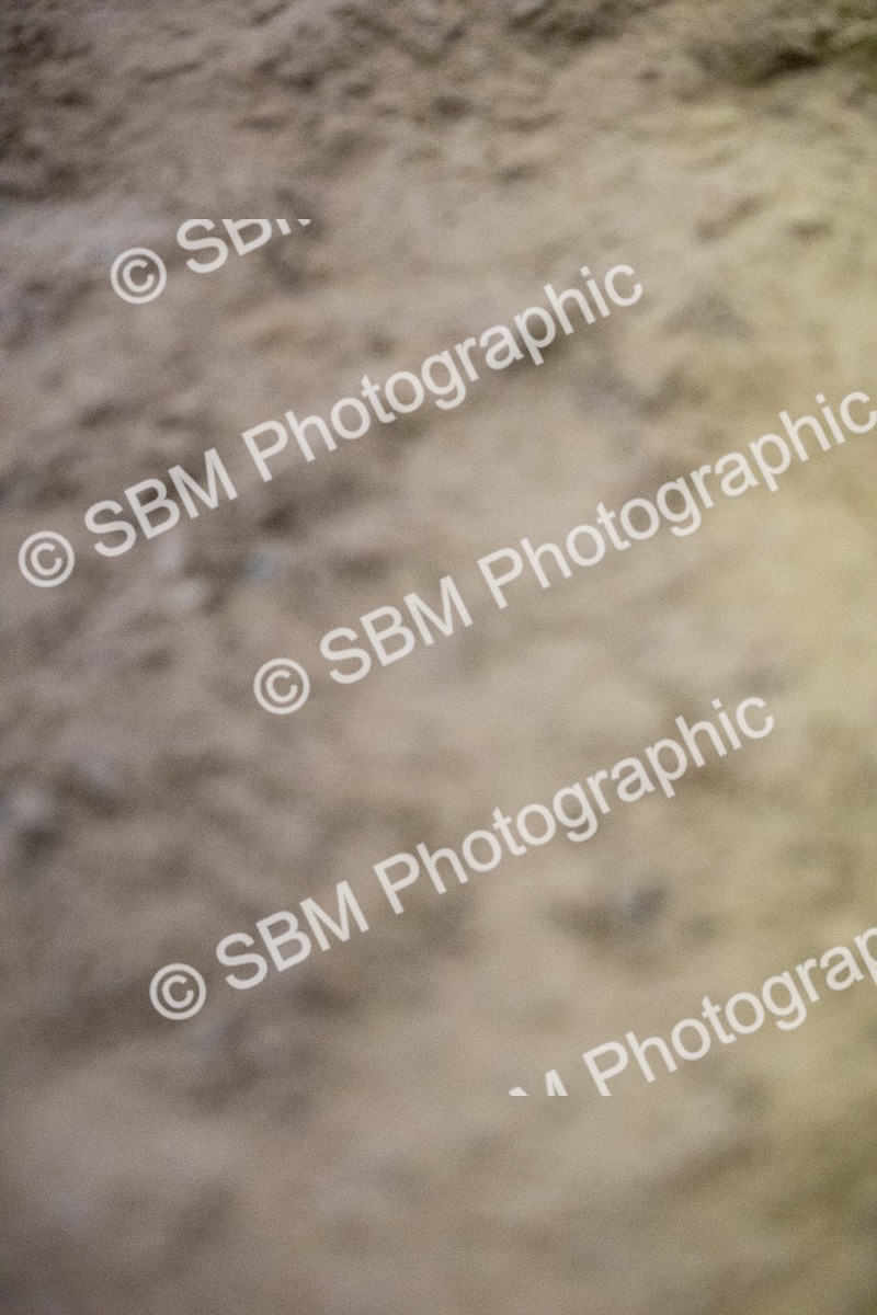 SBM_008856 - Class 23-26 - Novice-Open M&M LR-FR