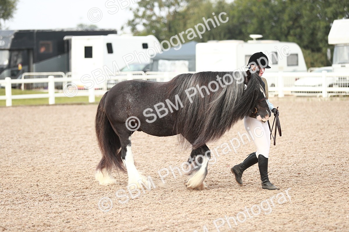 SBM_09491 - Class 201 Best Turned Out IH