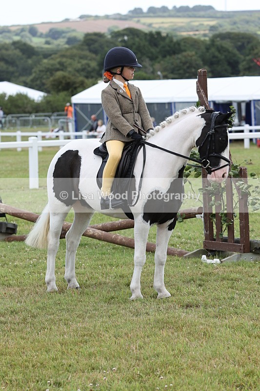 JPP_1916 - Class 18: Tiny Tots Working Hunter Pony