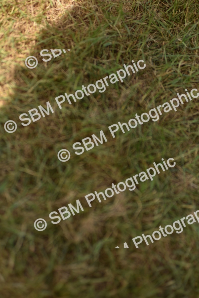 SBM_16072 - Class 117-122 - SSADL RIHS Qualifier