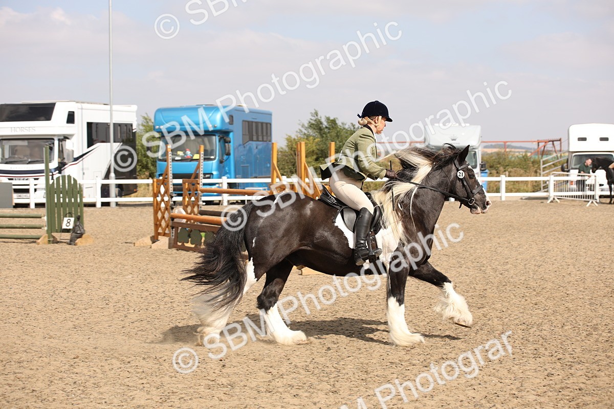 SBM_14338 - Class 407b - Working Veteran 60cm (20+)