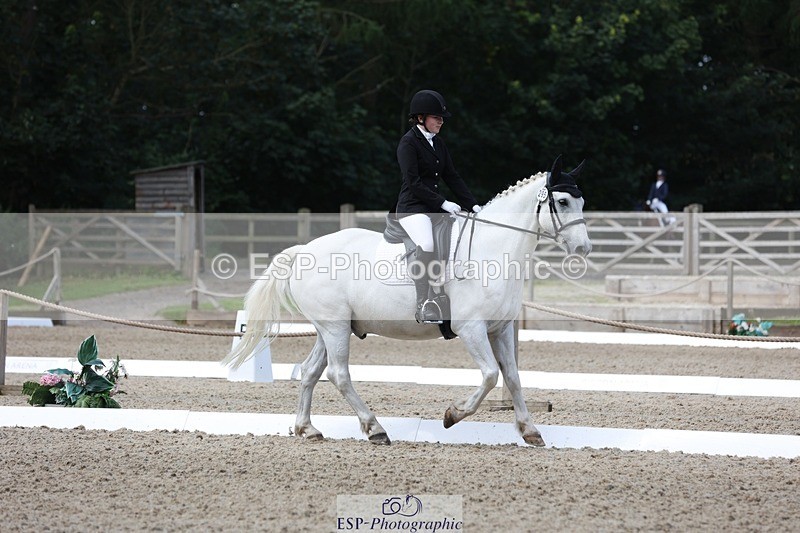 230812-113320-03791 - Cls 5 Novice Bronze 11.15 to 12.50 break