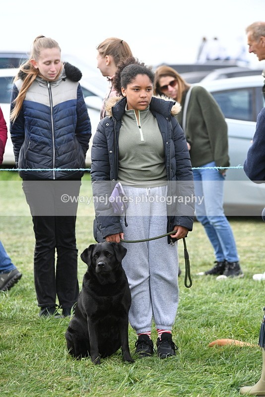 WJ5_0145 - Class 5 Best Veteran / 7 years & over