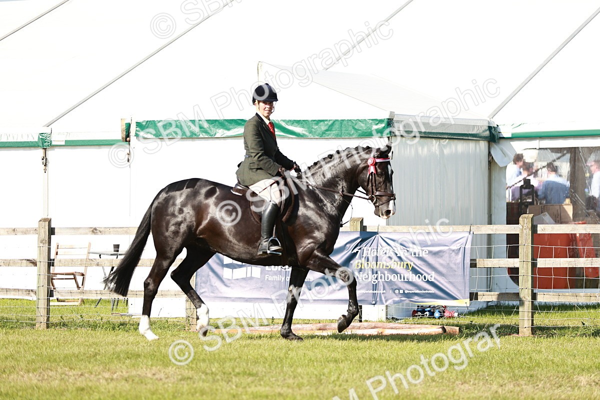 SBM_19230 - Class 115-116 - LIHS BSHA Rising Star Working Hunter & Show Horse
