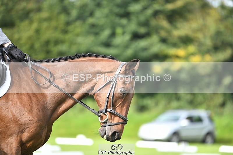 230826-101712-15429 - Sections C & D 10 to End