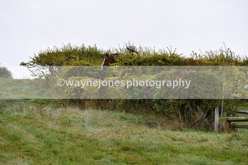 WJ5_5515 - Time 10:05 to 10:30  (3 cameras)