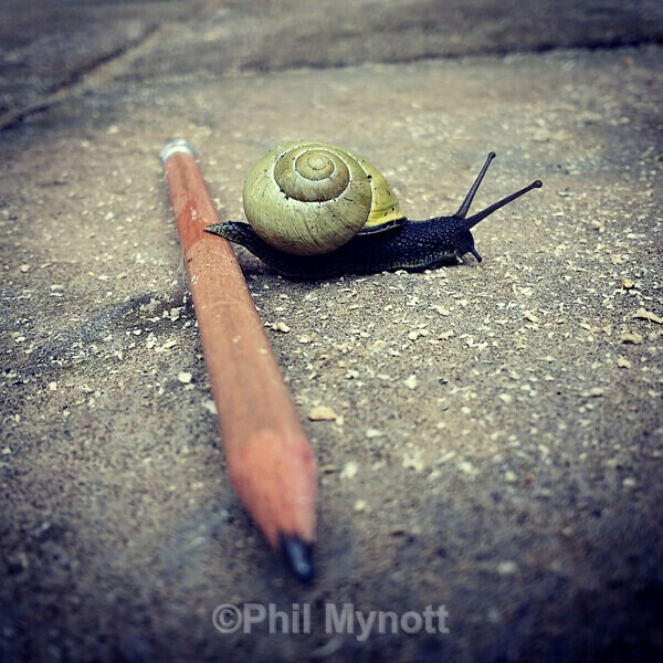 PhotoMynottART037 - Photo Mynott ART Images