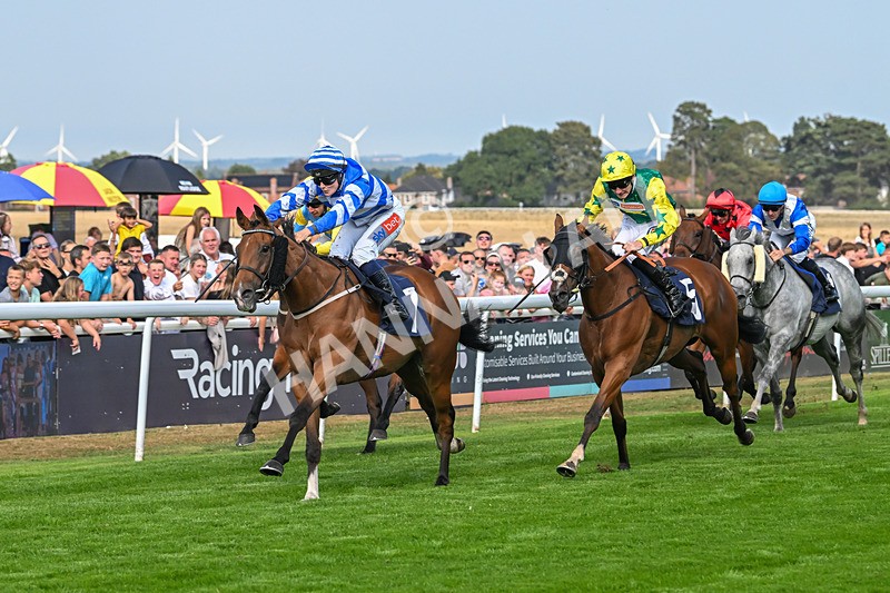 240825-Race 5-This Years Love-3409 - Race 5