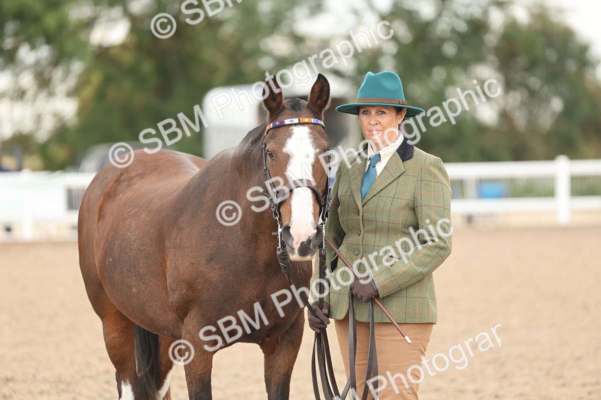 SBM_07637 - Class 26 - IH Foreign Breeds - Part Bred