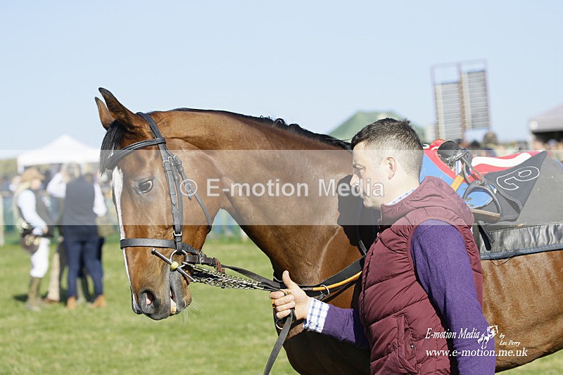 PtP 190322 637 - Wilton Hunt PtP Milborne St Andrew 19/03/22