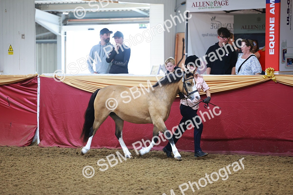 SBM_14677 - Class B - Junior Champ 11 to 16 Years