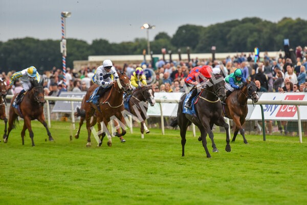 yr23072021r6-19 - Race 6 8.30pm Sky Bet Go-Racing-In-Yorkshire Summer Festival Stakes