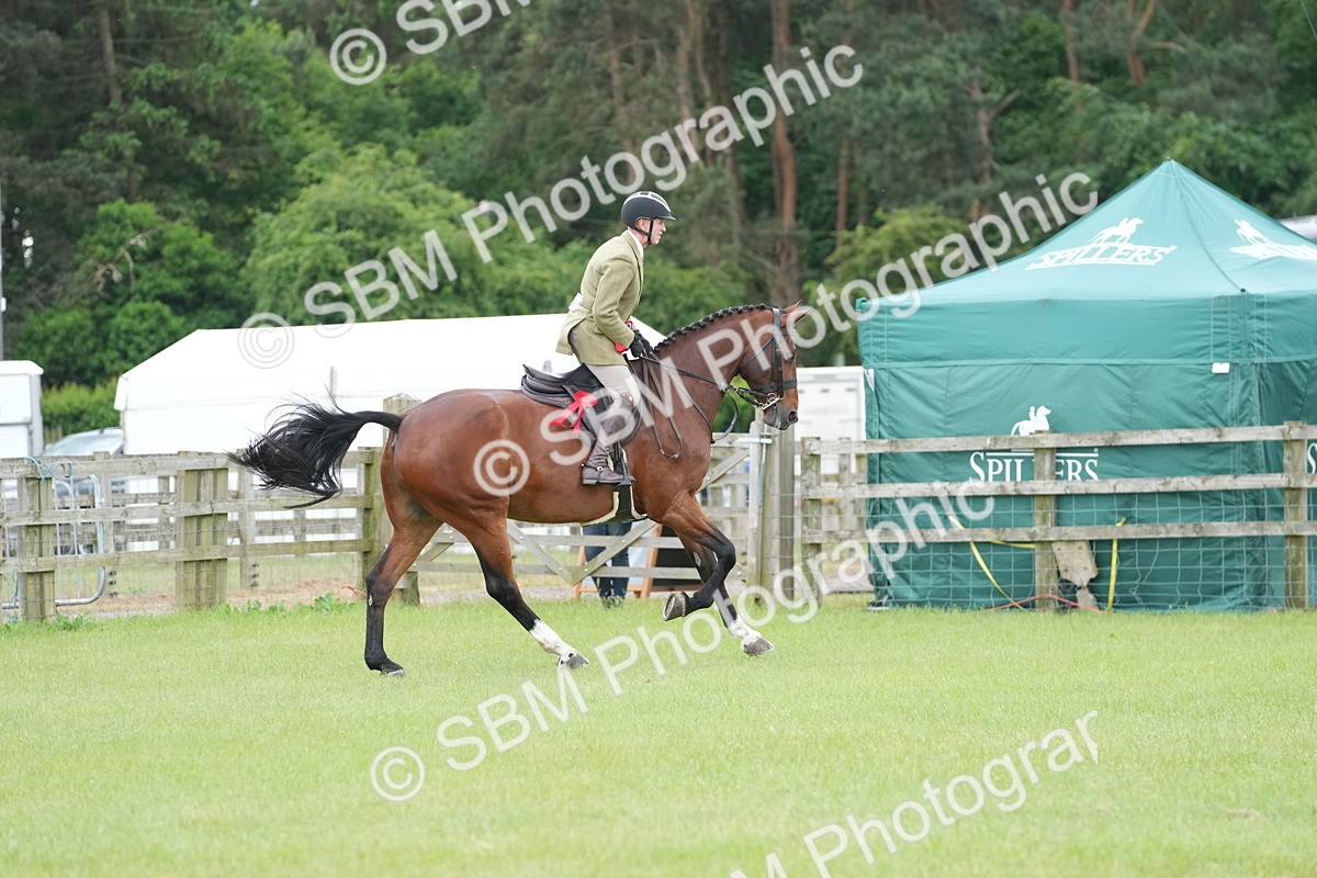 SBM_00033 - Class 100-102 - RIHS Working Hunter