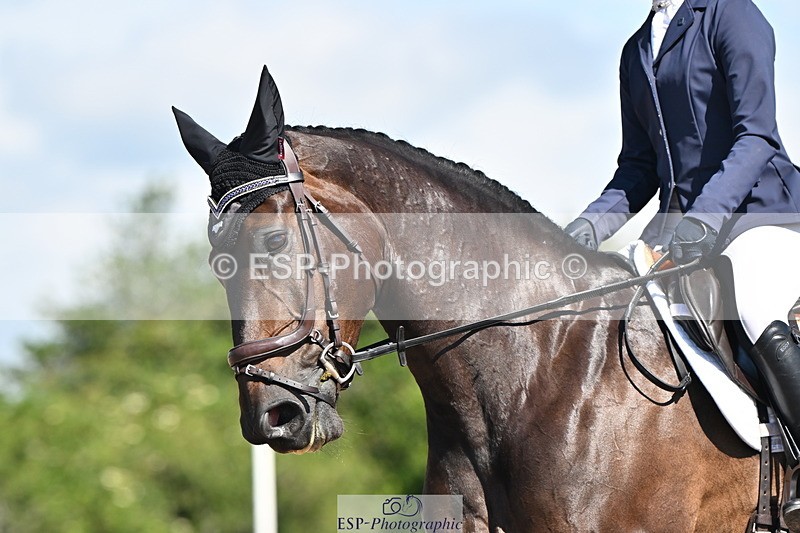 240621A-102708-01379 - Cls 4 BD Novice 22