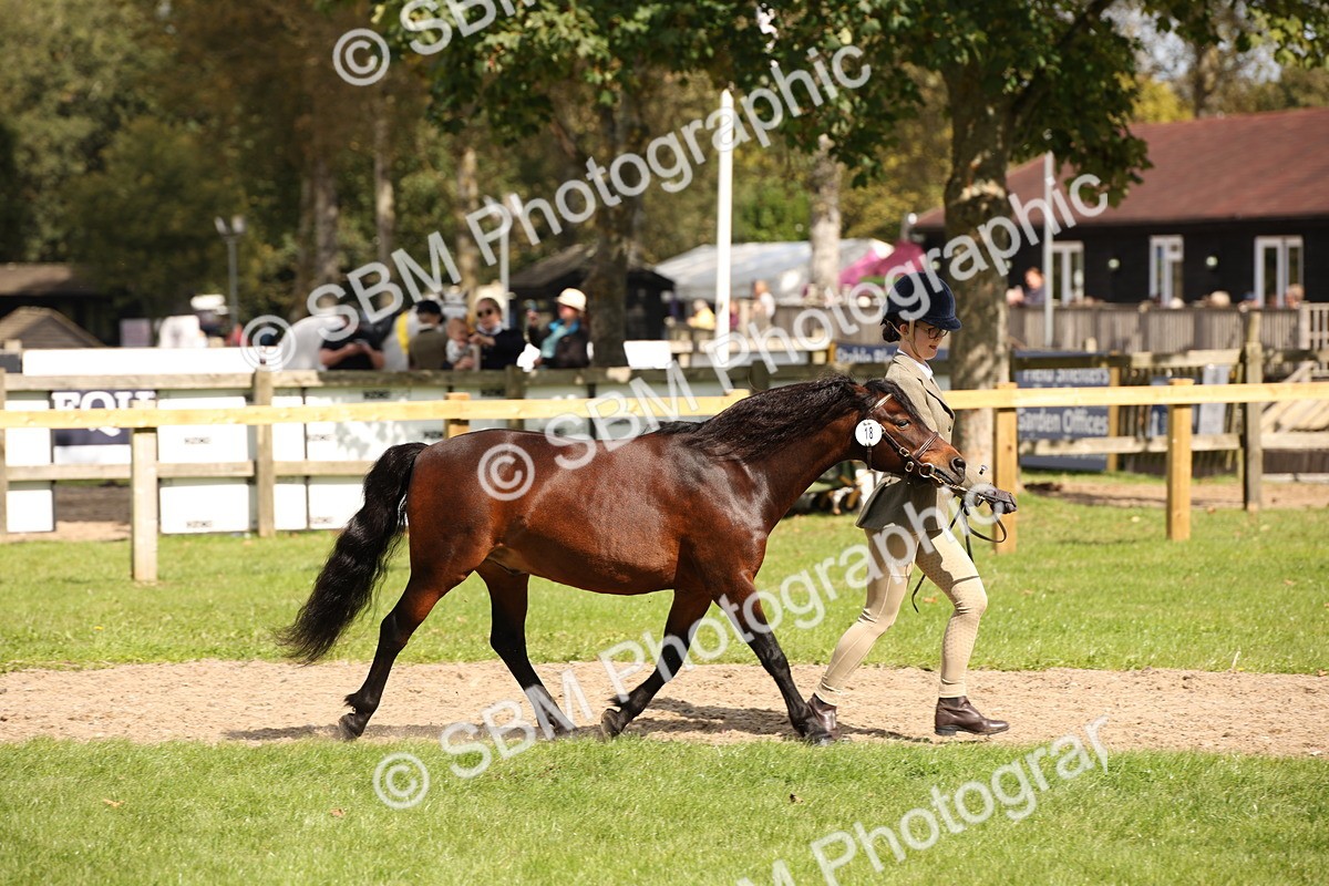 SBM_44412 - S24 - Young Veteran in hand