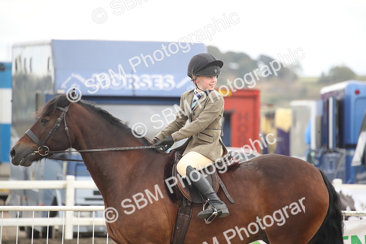 SBM_17913 - Class 508b - Working Veteran 70cm (20+)