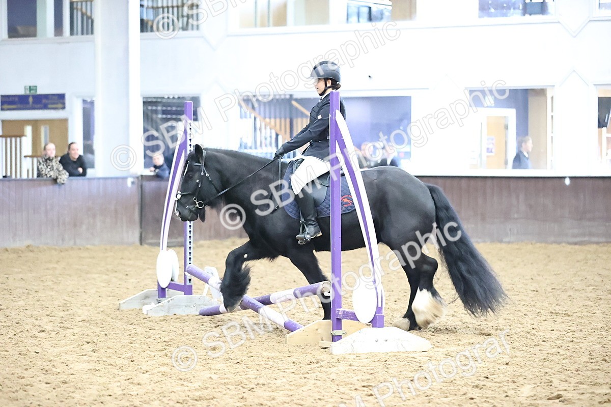 SBM_000182 - Class 2 - The Rug Lady 40cm Area 12 Championship Qualifier