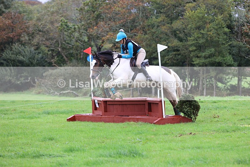 JPP_5204 - Class 2:  70cm: Zig Zag