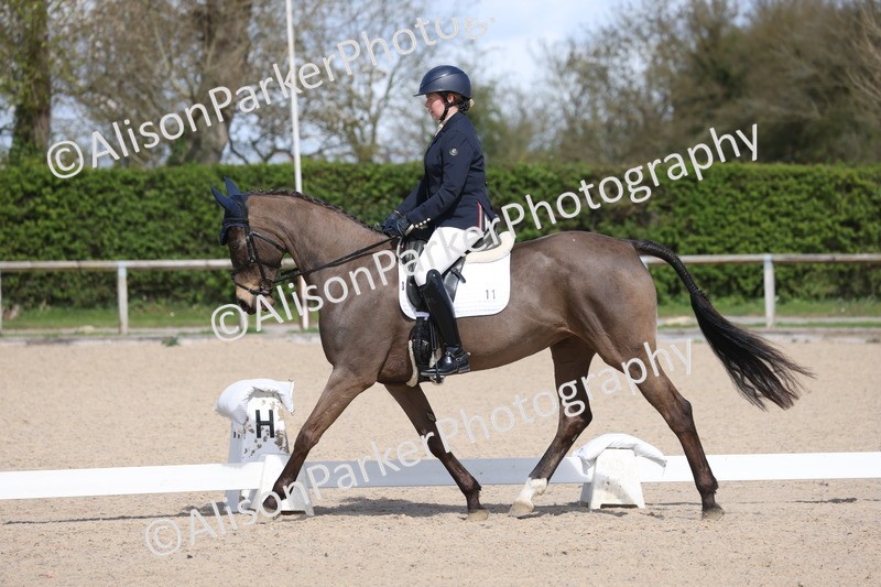 20260405-0483 - Class 5 - Elementary 5