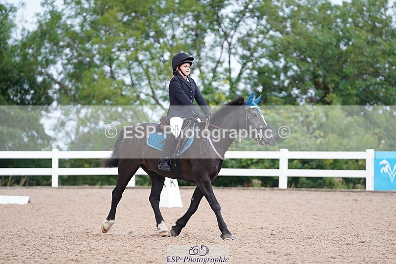 240809A-101648-00466 - Dressage Competition
