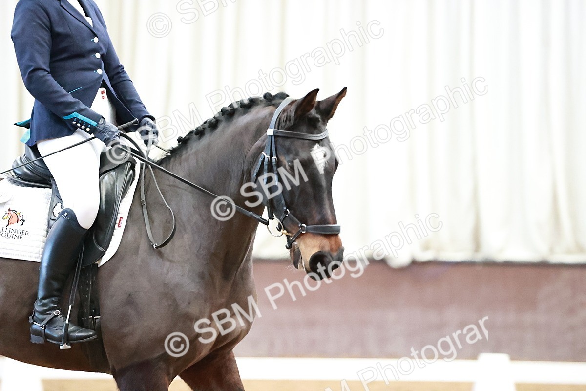 SBM_000511 - Class 7 - Medium 3