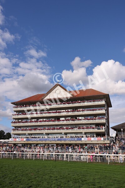 yr19082022r7-23 - Race 7 5.20pm Sky Bet Mile Stakes