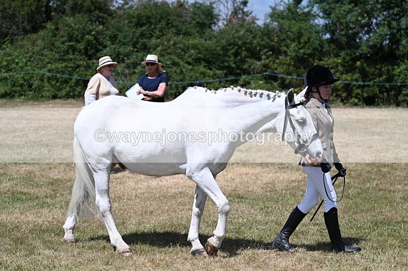 WJ7_2206 - Class 5 Most Handsome Gelding (up to 14.2hh) in hand