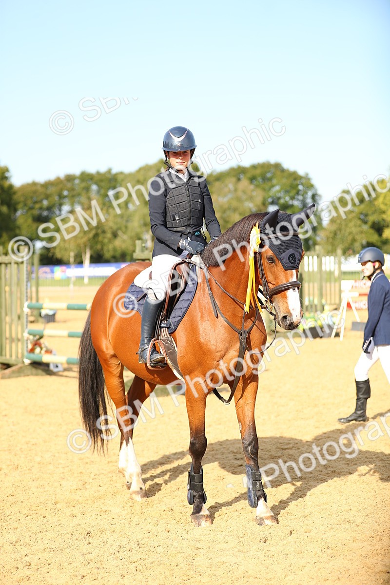 SBM_60425 - J41 - Grand Tour 95cm Championship