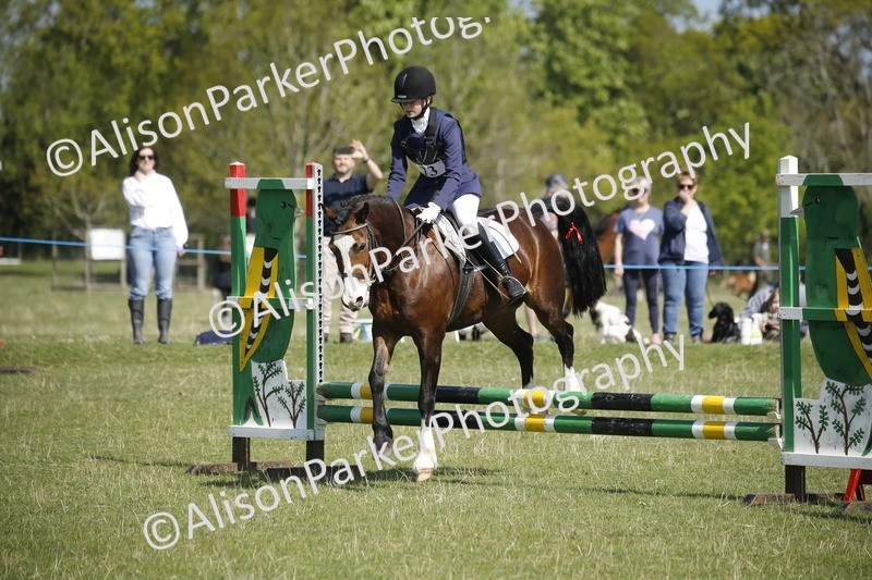 20250427-2134 - Class 13 - Novice Jumping 60cm