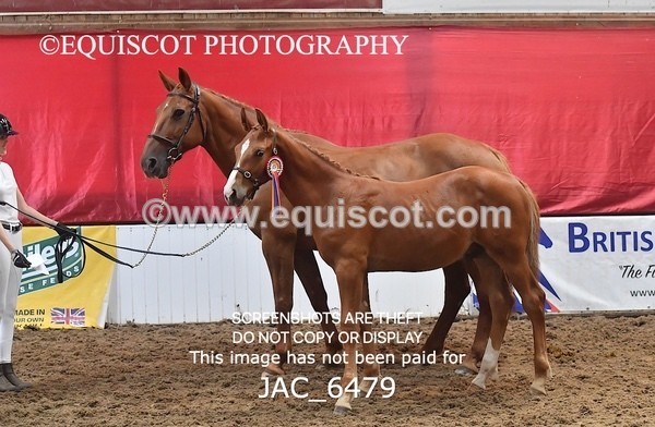JAC_6479 - 19 Luca