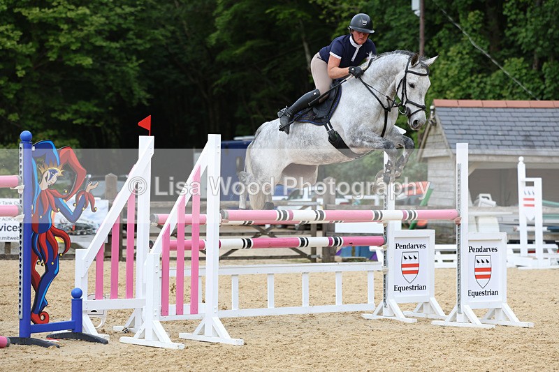 3E7A7569 - Class 8: Senior Foxhunter/1.20 open