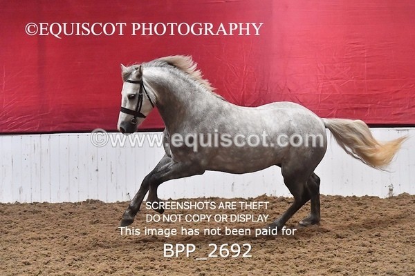 BPP_2692 - LOOSE JUMPING / SPSS