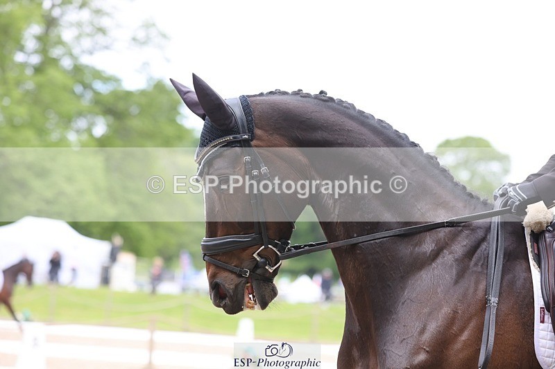 240523-103158-03335 - 234-MATTERHORN_RISING-Tom_Rowland