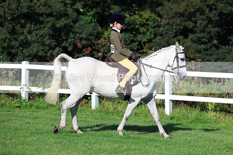 3E7A7544 - Class 1: Novice Working Hunter Pony