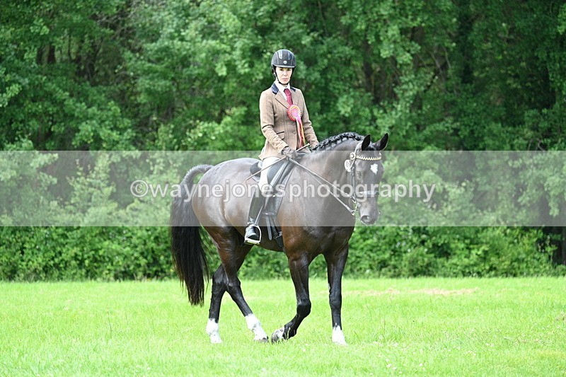 WJ7_1621 - Class 11 Condition & Turnout